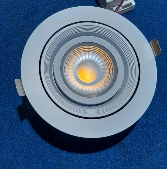 Round Adjustable COB LED Downlight
